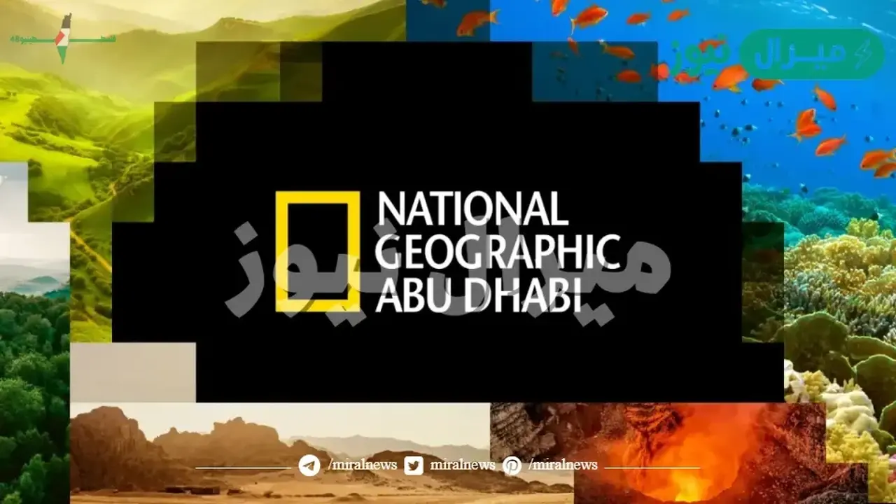 تردد قناة ناشيونال جيوغرافيك أبو ظبي للاستمتاع بعجائب الحياة البرية